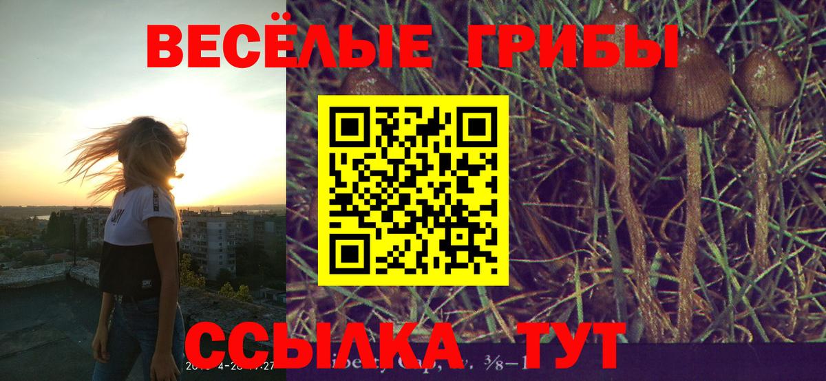 Галлюциногенные грибы Magic Shrooms Мариинск