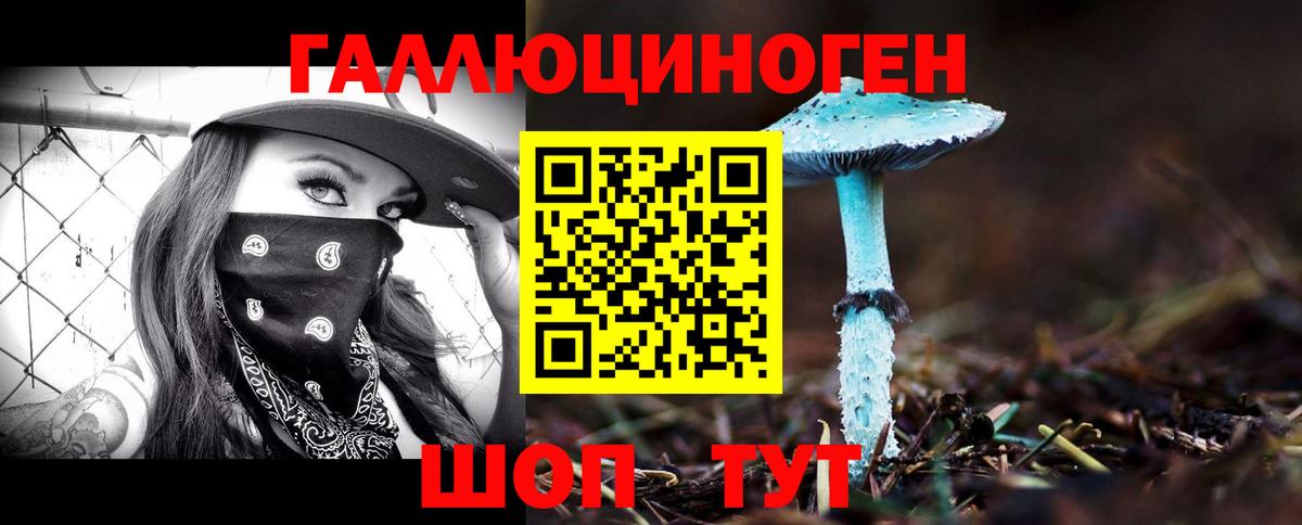 Мариинск  Псилоцибиновые грибы прущие грибы  Галлюциногенные грибы Psilocybe  Вход с VPN 